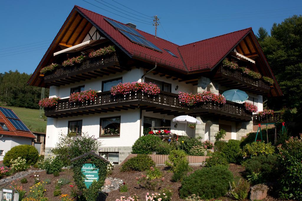Gaestehaus Cornelia Wildensee Exterior foto